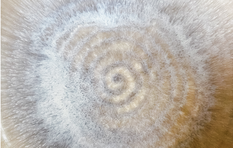 Du bist kreativ und alles, was Du berührst, verwandelt sich!