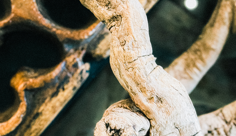 Ewigkeit vs. Vergänglichkeit